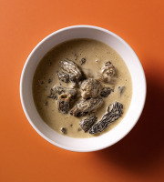 Groot La Tourte - Sauce Morille et vin jaune