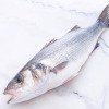 Poissonnerie La Piriacaise - Bar de ligne 700/800