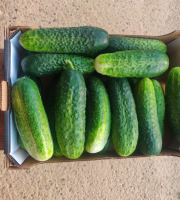 Ferme de la ville basse - Cornichons  Bio Gros frais