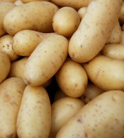 Maréchal Fraicheur - Pommes de terre Jazzy - 5 kg
