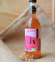 Dégustonfoin - 6 x Kombucha "Framboise" BIO 33cl