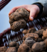 Naturélium - Brisures de truffe noire surgelées