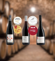 Domaine de la Chopinière du Roy - Coffret cadeau vins primés Or/Argent - bouteilles de vins rouges Saint Nicolas de Bourgueil - 3 x 75 cl