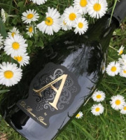 Champagne De Sloovere - Pienne - Champagne Cuvée Ange - Blanc de Blancs - Brut x6