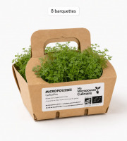 Ma Micropousse culinaire - Micro-pousses de cerfeuil bio – 8 barquettes