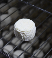 Alléosse Maitre Artisan Affineur Fromager - Cabri Blanc au lait cru