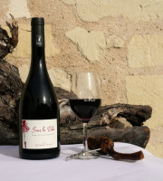 Domaine de la Chopinière du Roy - Vin rouge Saint Nicolas de Bourgueil - Cuvée Sous la Robe 2024 - 6x75cl
