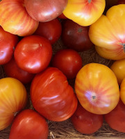 Domaine Reverchon - Tomate ancienne 2kg