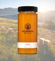 Apis Montis - L'Ubac - Miel des Alpes - 40g