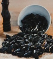 Thalassa Tradition - Moules de Bouchot - 5kg