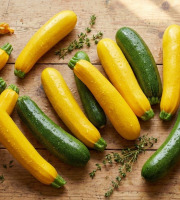 Nature et Saveurs - Ferme Aquaponique et Permacole Astérienne - Courgettes Allongées Jaune et/ou Verte – Fraîches du Périgord