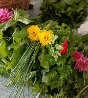 Rébecca les Jolies Fleurs - Salade royale