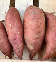 La Ferme du Salabel - Patate douce BIO 3kg