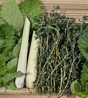 Midiflore - Tisane fraiche Hiver 40g