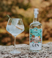 Distillerie de l'Òrt - Gin de nos Jardins BIO - 70cl