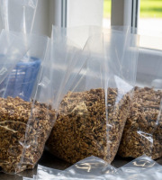 La Noyeraie des Borderies - CERNEAUX DE NOIX BIO qualité BOULANGERIE 1kg RÉCOLTE 2025