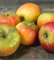 Les Jardins de Gérard - Pomme Jonagored Bio - 1kg