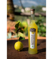 Maison Gannac - Limoncello Bio au Citron de Menton - 50 cl