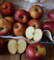 Le Verger de Crigne - Pommes Dalinette Bio (petit Calibre) - 10kg
