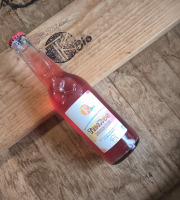 TK Bio - The Kefir et Kombucha Compagnie - TibiKos Hibiscus Bio (Kéfir) - 12x33cl