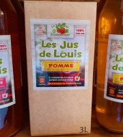 Le Domaine du Framboisier - Les Jus de Louis Pomme 100% Pur Jus 3L