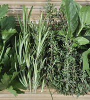 Midiflore - Aromates fraiches pour Cuisine Méditerranéenne 40g