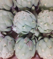 Le Châtaignier - ARTICHAUT