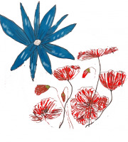 Rébecca les Jolies Fleurs - offre s