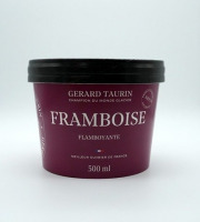 GT Designer Glacier - Sorbet Framboise flambloyante 500ml