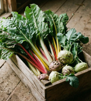Nature et Saveurs - Ferme Aquaponique et Permacole Astérienne - Panier anti gaspi légumes