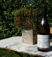 Domaine Ghislain Kohut - Lot 6 Bouteilles de Bourgogne Aligoté AOC