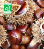 Terres EnVie - Châtaignes Fraiches Bio  10 kg