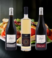 Domaine de la Perrée - AOC Saint Nicolas de Bourgueil & Vin de France - Coffret Mini Découverte 3 bouteilles