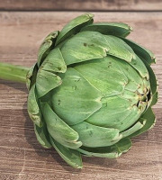 Les Jardins de Gérard - Artichaut vert Bio - 500 g (1 à 2 pièces)
