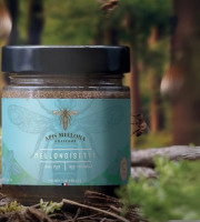 Apis Mellona - Miel aux noisettes, Mellonoisette