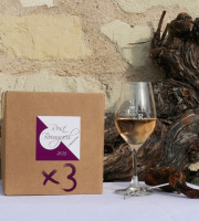 Domaine de la Chopinière du Roy - Lot de 3 BIB de vin rosé 2025 Sec et fuité 3 Litres
