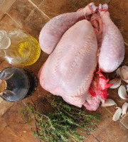 EARL Plumes et Laines - poulets fermiers race cou nu x6+2 rillettes offertes