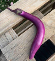 ChâteauFer - Aubergine Japonaise 500g