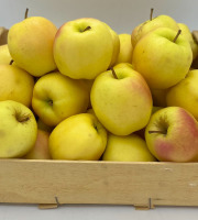 Le Panier du Producteur - Pomme "Golden"