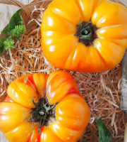 Les Champs Paradis - Tomate ananas 1kg