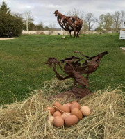 Des Poules et des Vignes à Bourgueil - 6 Œufs De Poule Géline de Touraine