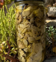 L’Oliveraie du Coudon - Quart d'artichaut grillé  600gr