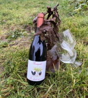 Des Poules et des Vignes à Bourgueil - Offre pro - Bourgueil AOC rouge - Au Chant du Coq 2024