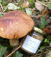 Terres EnVie - Champignon Bio - Bolet Orangé Des Chênes En Poudre