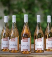 Domaine de l'Ambroisie - Mystic Gris - Mystic Gris - Gris de Toul - AOC Côtes de Toul 12x75cl