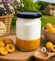 Gaec de l'Elanion - Fromage Blanc Confiture Mirabelle 130g