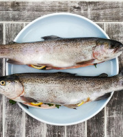 Nature et Saveurs - Ferme Aquaponique et Permacole Astérienne - Duo gourmand de truites blanches – Élevées en aquaponie