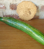 Ferme de Cernunnos - Concombre long bio - 300g