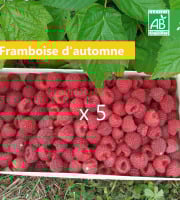 LES JARDINS DE KARINE - Framboise d'automne surgelée - 5 kg