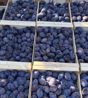 Vergers des brunots - Prune "Stanley" 2kg